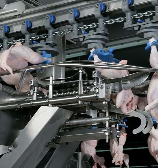 wing-cutting-modules-poultry.jpg
