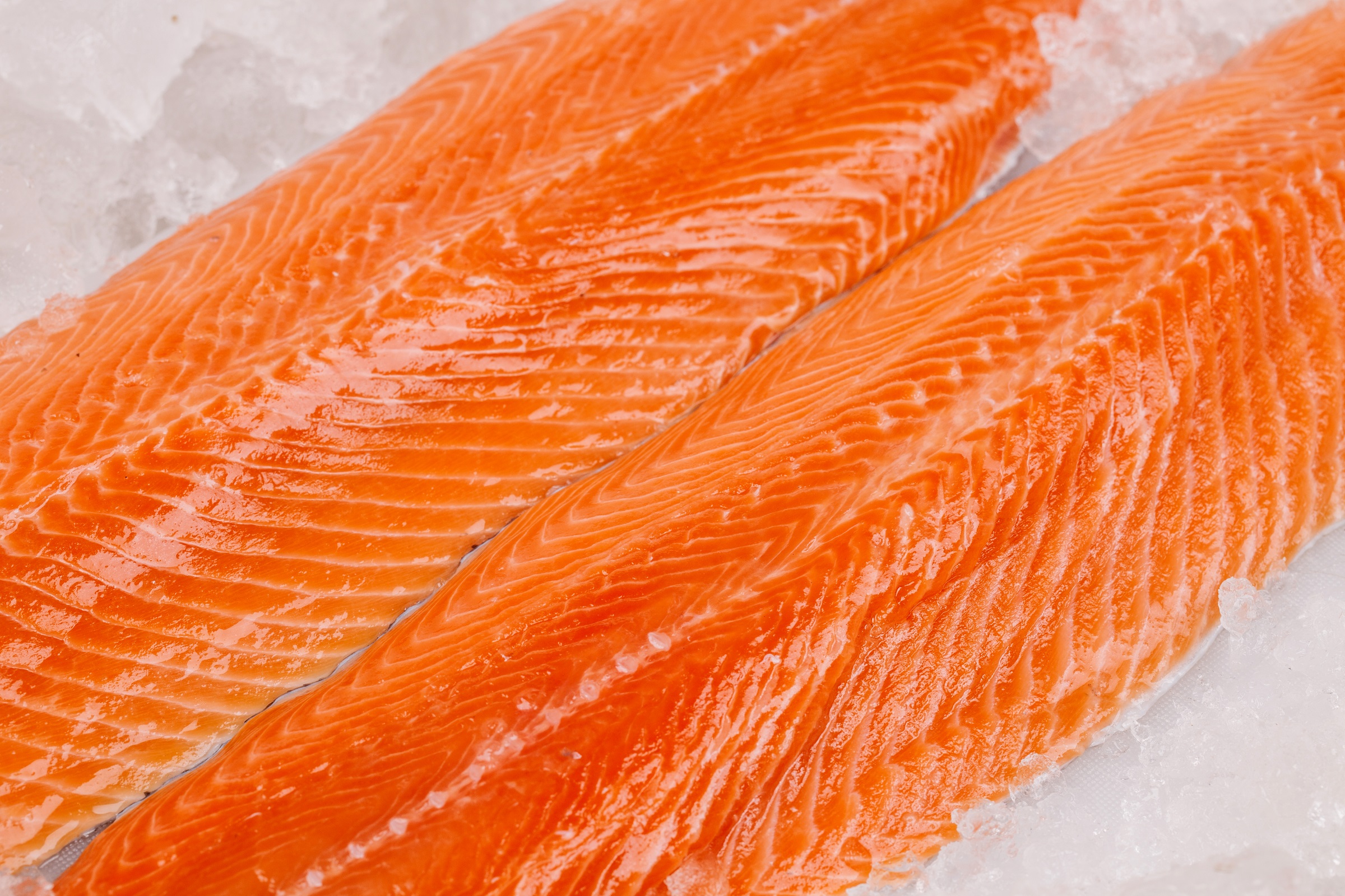 Salmon Fillets In Flake Ice
