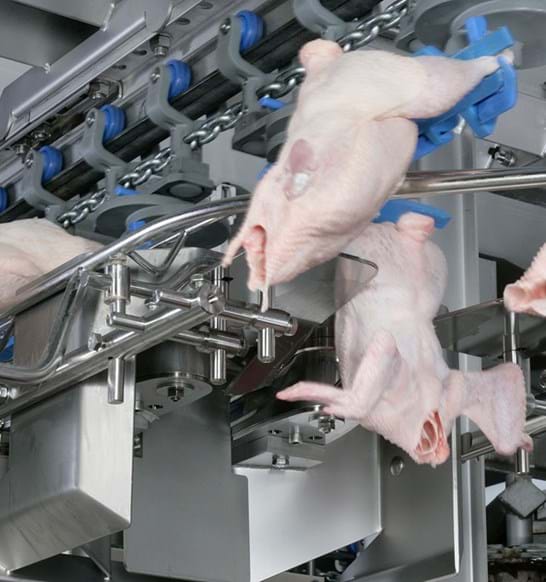 front-back-half-cutting-module-nt-poultry.jpg