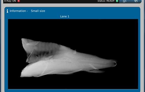 Sensorx Screen Bone Detection In White Fish