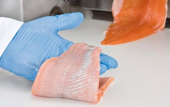 MAJA salmon trout skinning